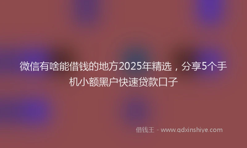 微信有啥能借钱的地方2025年精选，分享5个手机小额黑户快速贷款口子