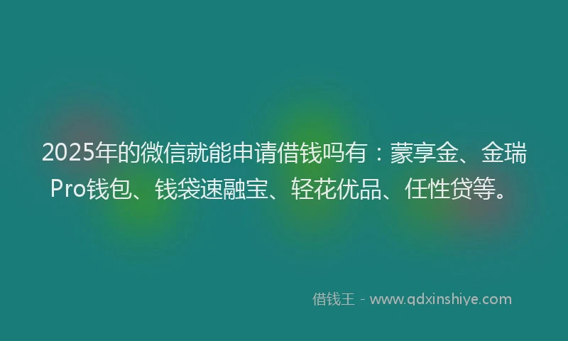 2025年的微信就能申请借钱吗有：蒙享金、金瑞Pro钱包、钱袋速融宝、轻花优品、任性贷等。