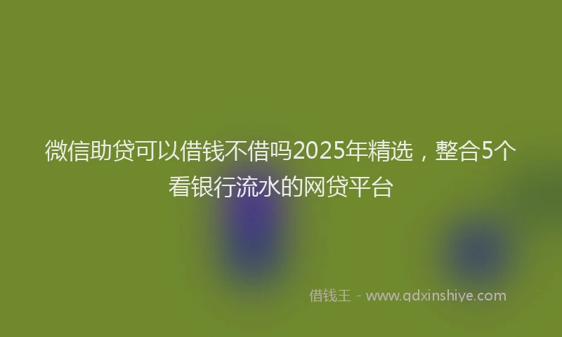 微信助贷可以借钱不借吗2025年精选，整合5个看银行流水的网贷平台