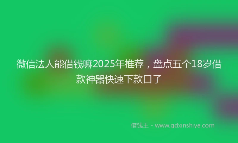 微信法人能借钱嘛2025年推荐，盘点五个18岁借款神器快速下款口子
