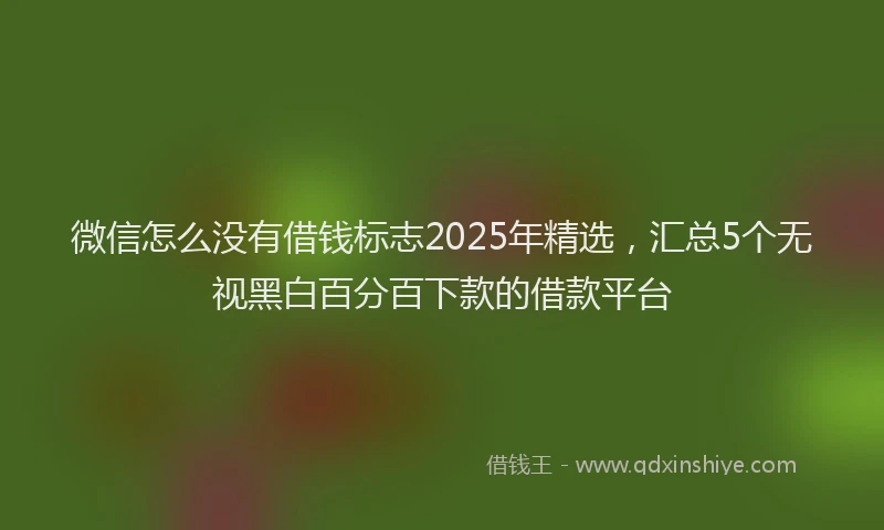 微信怎么没有借钱标志2025年精选，汇总5个无视黑白百分百下款的借款平台