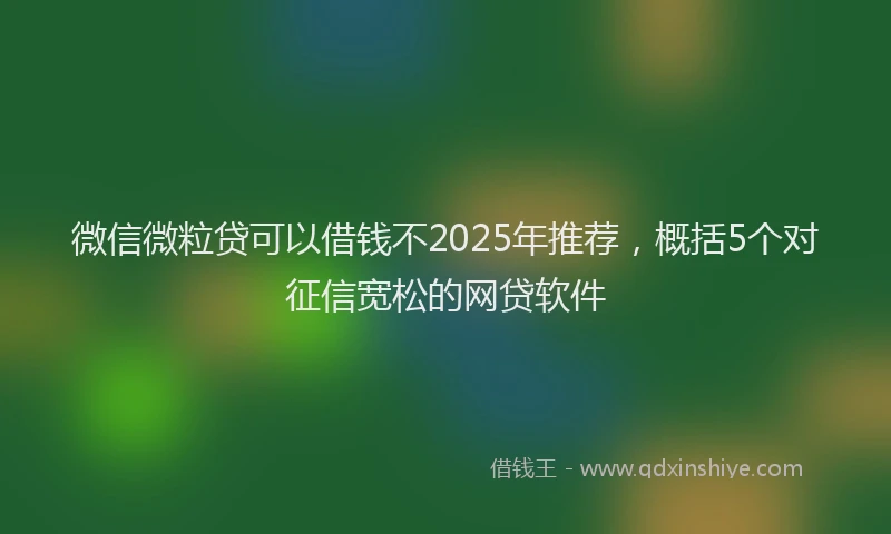 微信微粒贷可以借钱不2025年推荐，概括5个对征信宽松的网贷软件