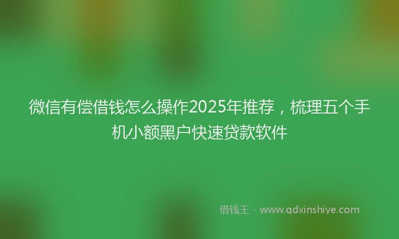 微信有偿借钱怎么操作2025年推荐，梳理五个手机小额黑户快速贷款软件