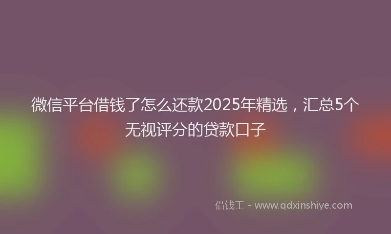 微信平台借钱了怎么还款2025年精选，汇总5个无视评分的贷款口子