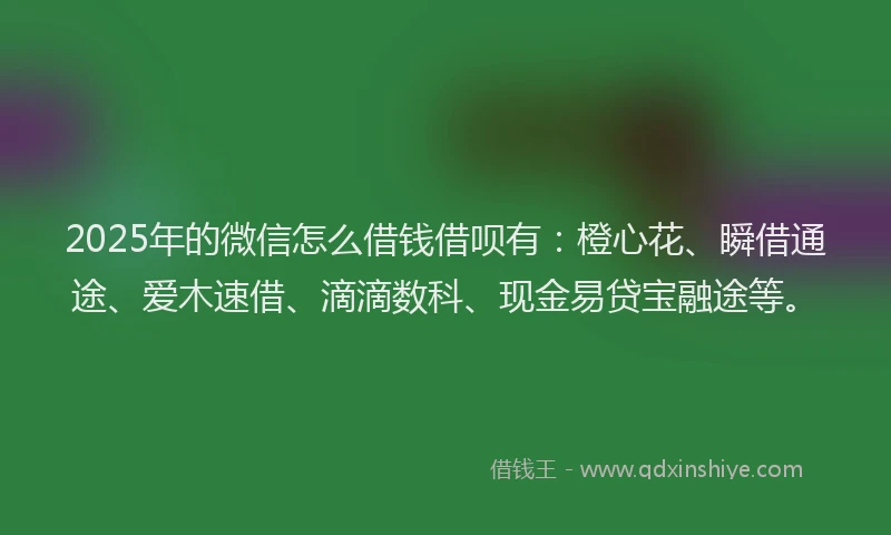 2025年的微信怎么借钱借呗有：橙心花、瞬借通途、爱木速借、滴滴数科、现金易贷宝融途等。