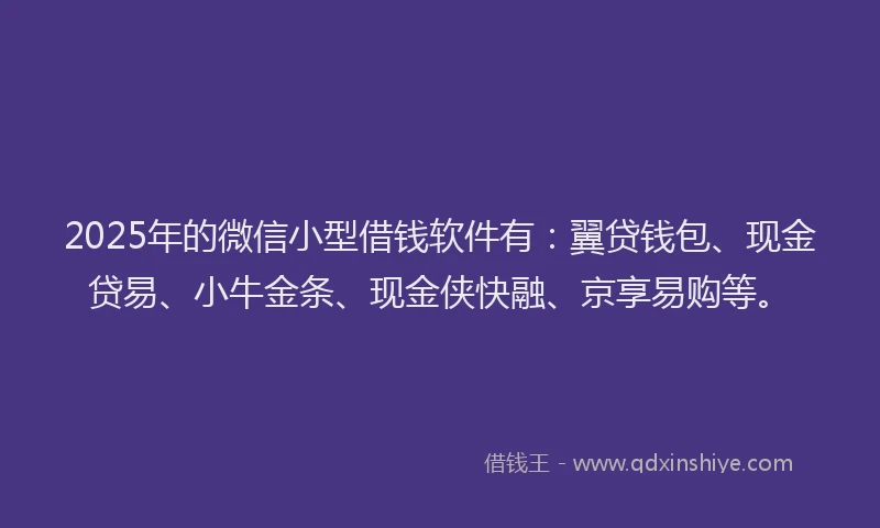 2025年的微信小型借钱软件有：翼贷钱包、现金贷易、小牛金条、现金侠快融、京享易购等。