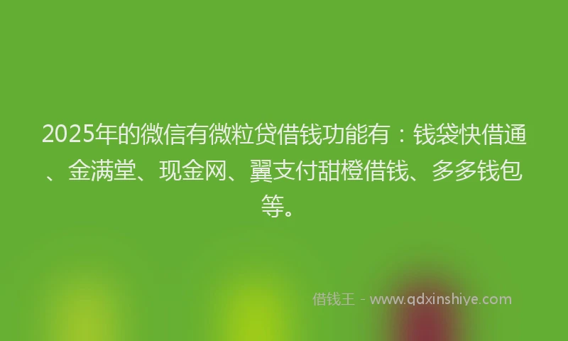 2025年的微信有微粒贷借钱功能有：钱袋快借通、金满堂、现金网、翼支付甜橙借钱、多多钱包等。