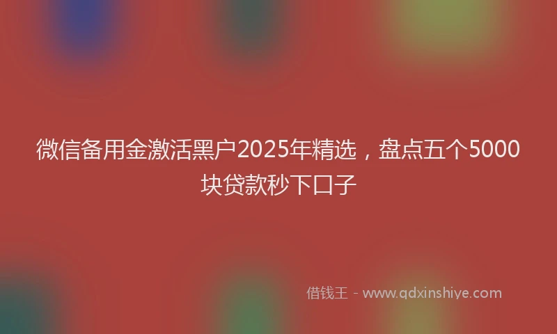 微信备用金激活黑户2025年精选，盘点五个5000块贷款秒下口子