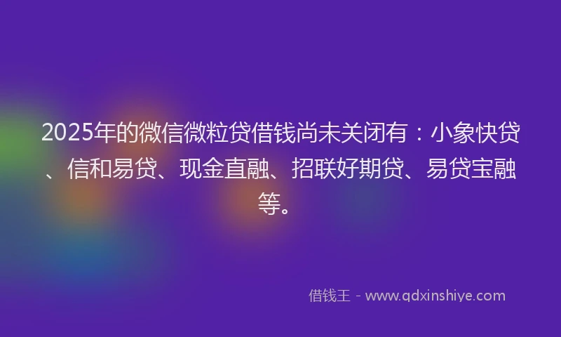 2025年的微信微粒贷借钱尚未关闭有：小象快贷、信和易贷、现金直融、招联好期贷、易贷宝融等。