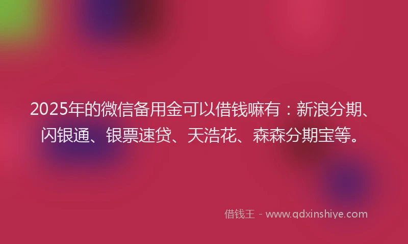 2025年的微信备用金可以借钱嘛有：新浪分期、闪银通、银票速贷、天浩花、森森分期宝等。