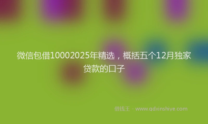 微信包借10002025年精选，概括五个12月独家贷款的口子