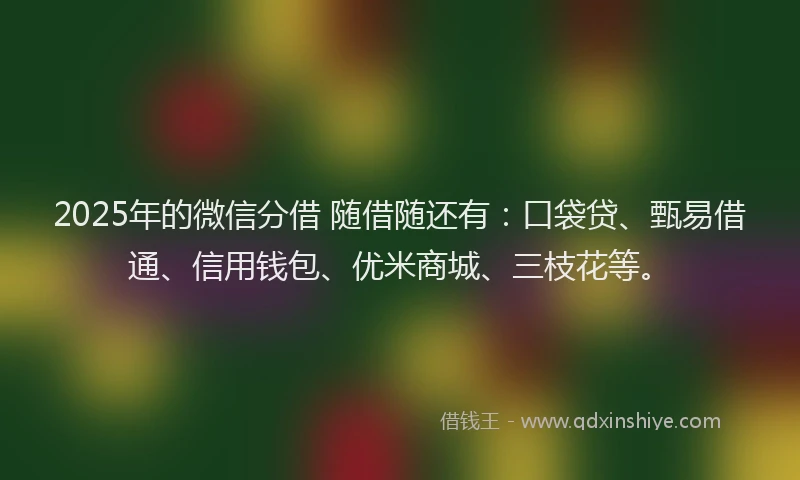 2025年的微信分借 随借随还有：口袋贷、甄易借通、信用钱包、优米商城、三枝花等。