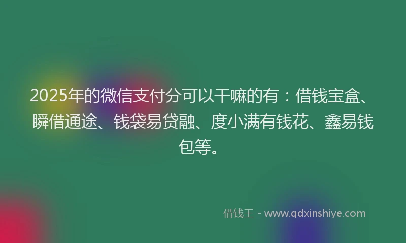2025年的微信支付分可以干嘛的有：借钱宝盒、瞬借通途、钱袋易贷融、度小满有钱花、鑫易钱包等。