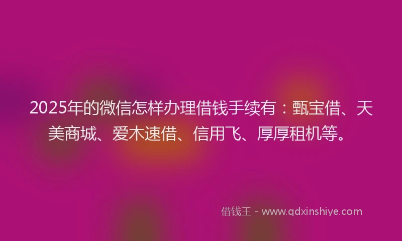 2025年的微信怎样办理借钱手续有：甄宝借、天美商城、爱木速借、信用飞、厚厚租机等。
