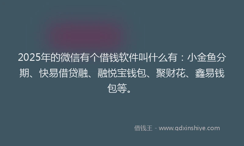 2025年的微信有个借钱软件叫什么有：小金鱼分期、快易借贷融、融悦宝钱包、聚财花、鑫易钱包等。