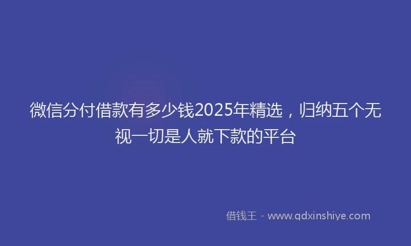 微信分付借款有多少钱2025年精选，归纳五个无视一切是人就下款的平台