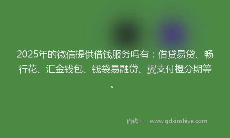 2025年的微信提供借钱服务吗有：借贷易贷、畅行花、汇金钱包、钱袋易融贷、翼支付橙分期等。