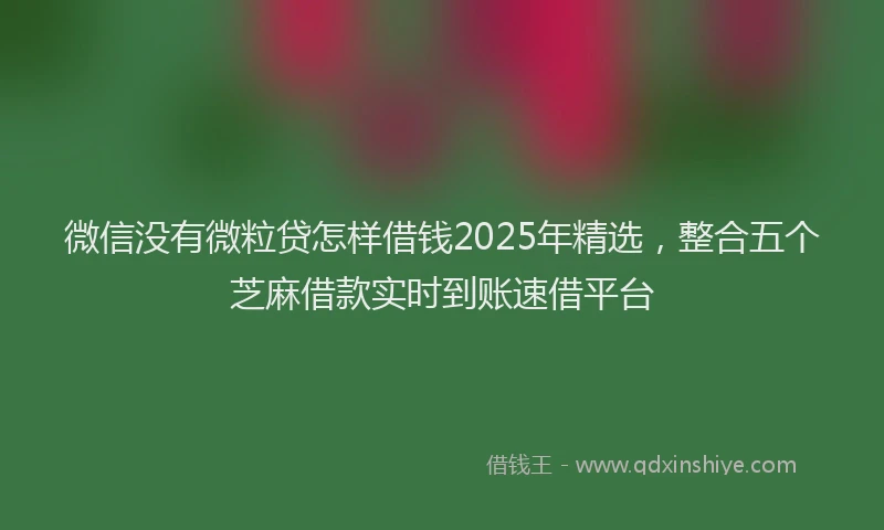 微信没有微粒贷怎样借钱2025年精选，整合五个芝麻借款实时到账速借平台