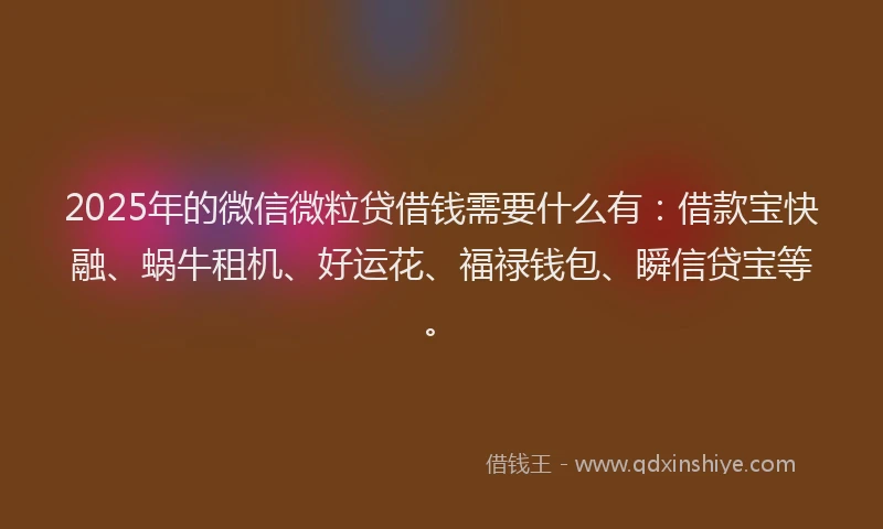 2025年的微信微粒贷借钱需要什么有：借款宝快融、蜗牛租机、好运花、福禄钱包、瞬信贷宝等。