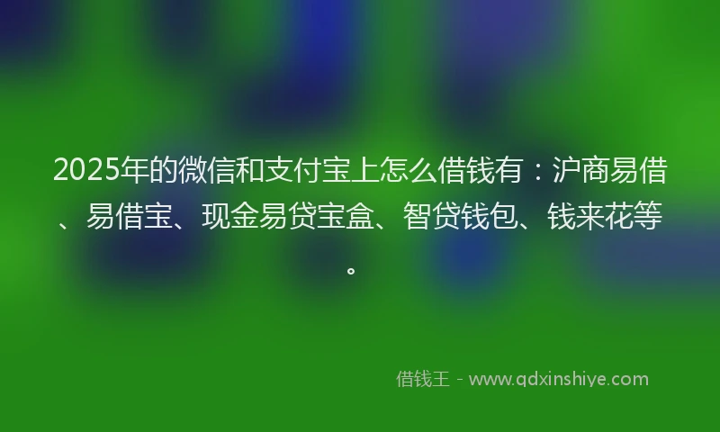 2025年的微信和支付宝上怎么借钱有：沪商易借、易借宝、现金易贷宝盒、智贷钱包、钱来花等。