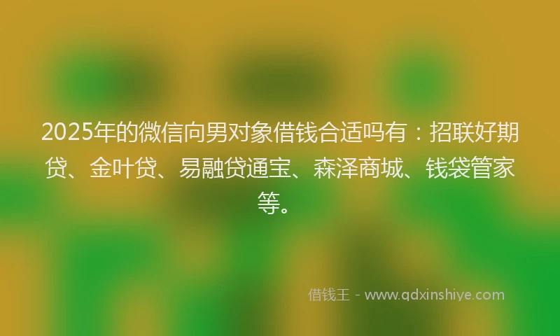 2025年的微信向男对象借钱合适吗有：招联好期贷、金叶贷、易融贷通宝、森泽商城、钱袋管家等。