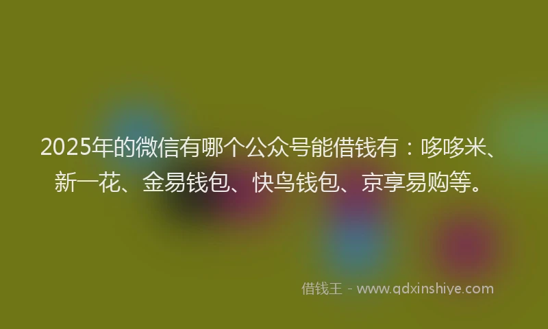 2025年的微信有哪个公众号能借钱有：哆哆米、新一花、金易钱包、快鸟钱包、京享易购等。