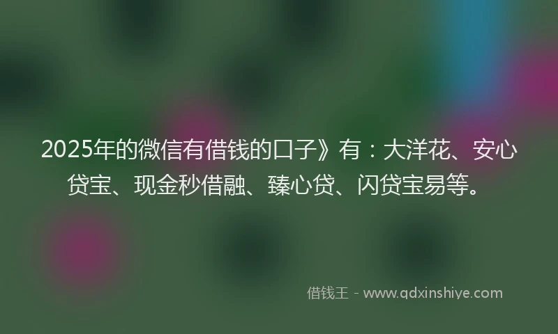 2025年的微信有借钱的口子》有：大洋花、安心贷宝、现金秒借融、臻心贷、闪贷宝易等。