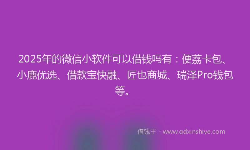 2025年的微信小软件可以借钱吗有：便荔卡包、小鹿优选、借款宝快融、匠也商城、瑞泽Pro钱包等。