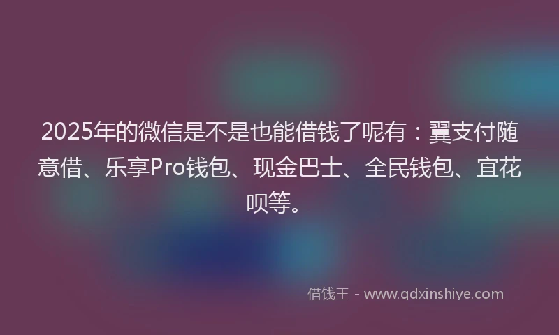 2025年的微信是不是也能借钱了呢有：翼支付随意借、乐享Pro钱包、现金巴士、全民钱包、宜花呗等。