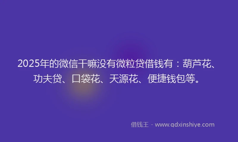2025年的微信干嘛没有微粒贷借钱有：葫芦花、功夫贷、口袋花、天源花、便捷钱包等。