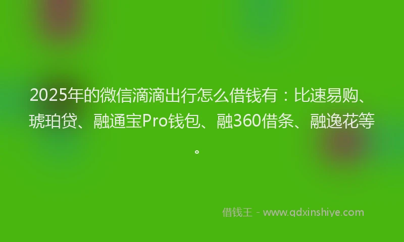2025年的微信滴滴出行怎么借钱有：比速易购、琥珀贷、融通宝Pro钱包、融360借条、融逸花等。