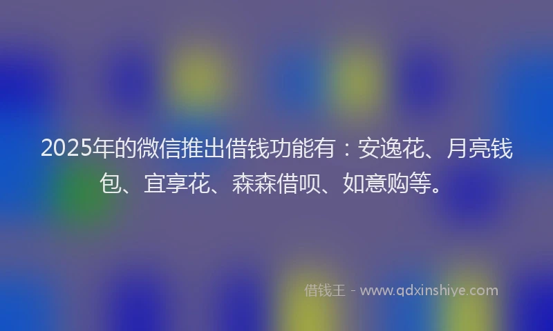 2025年的微信推出借钱功能有：安逸花、月亮钱包、宜享花、森森借呗、如意购等。