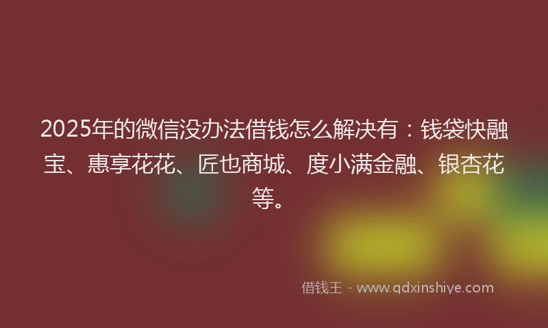 2025年的微信没办法借钱怎么解决有：钱袋快融宝、惠享花花、匠也商城、度小满金融、银杏花等。