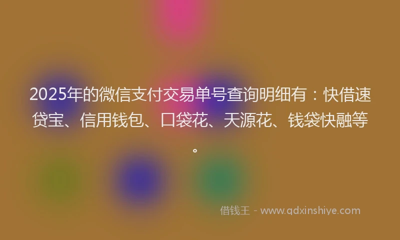 2025年的微信支付交易单号查询明细有：快借速贷宝、信用钱包、口袋花、天源花、钱袋快融等。