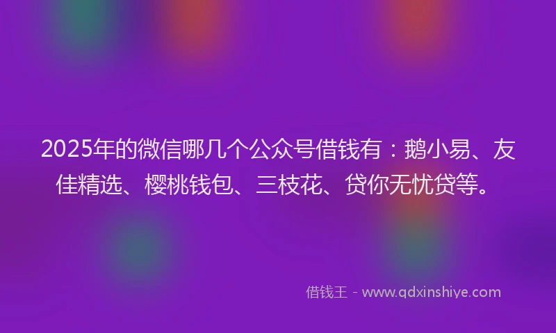 2025年的微信哪几个公众号借钱有：鹅小易、友佳精选、樱桃钱包、三枝花、贷你无忧贷等。