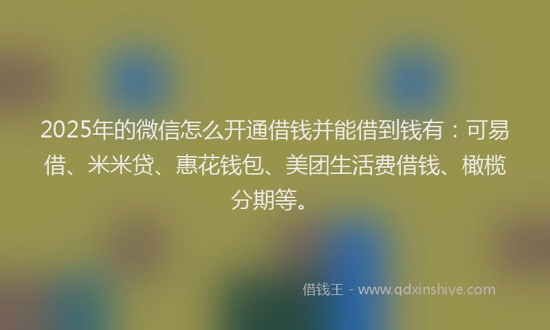 2025年的微信怎么开通借钱并能借到钱有：可易借、米米贷、惠花钱包、美团生活费借钱、橄榄分期等。