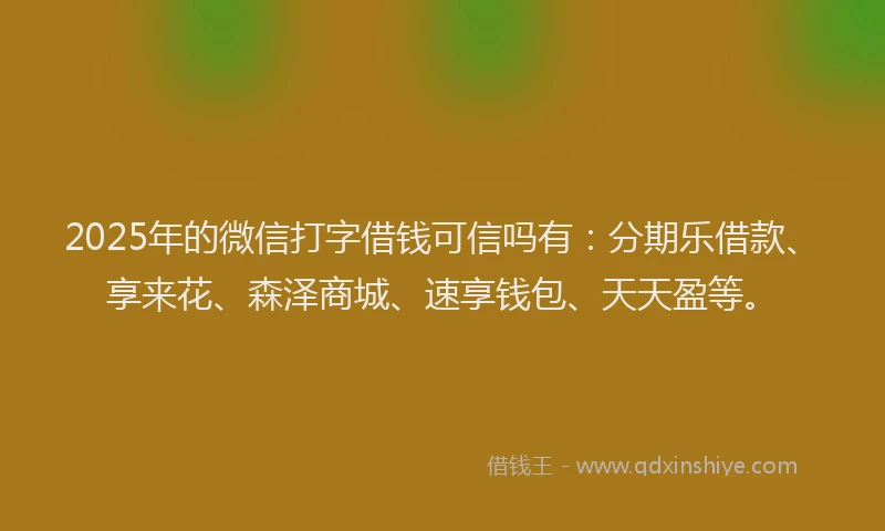2025年的微信打字借钱可信吗有：分期乐借款、享来花、森泽商城、速享钱包、天天盈等。
