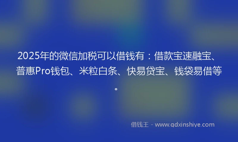 2025年的微信加税可以借钱有：借款宝速融宝、普惠Pro钱包、米粒白条、快易贷宝、钱袋易借等。