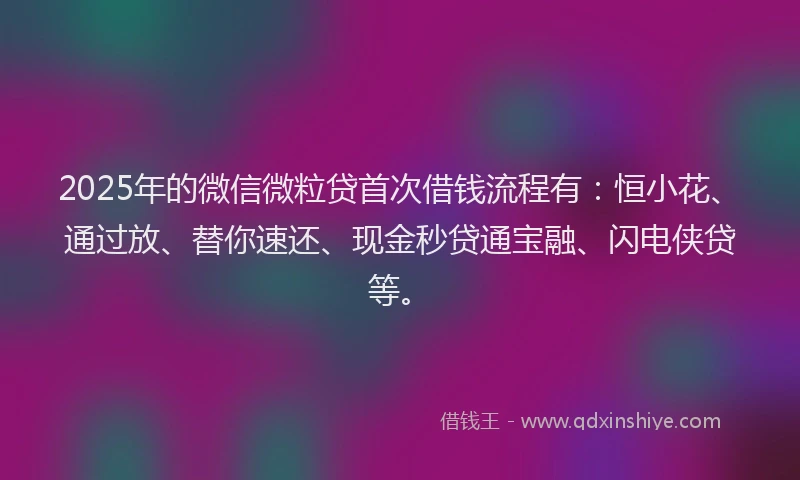 2025年的微信微粒贷首次借钱流程有：恒小花、通过放、替你速还、现金秒贷通宝融、闪电侠贷等。