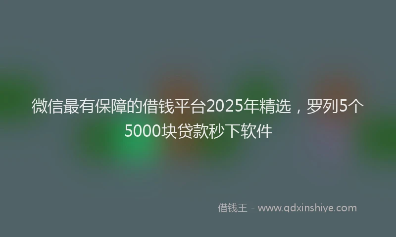 微信最有保障的借钱平台2025年精选，罗列5个5000块贷款秒下软件