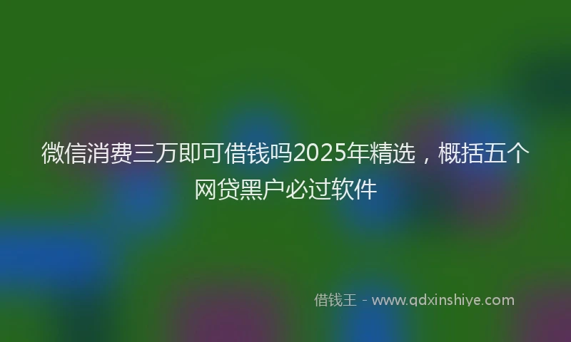 微信消费三万即可借钱吗2025年精选，概括五个网贷黑户必过软件
