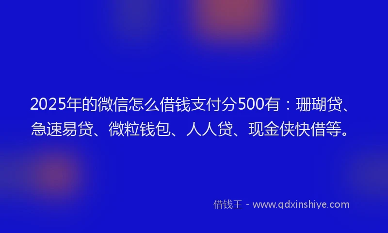 2025年的微信怎么借钱支付分500有：珊瑚贷、急速易贷、微粒钱包、人人贷、现金侠快借等。