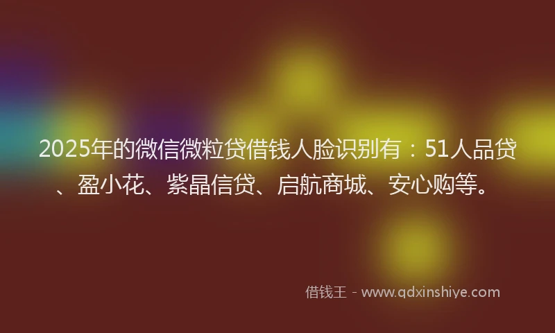 2025年的微信微粒贷借钱人脸识别有：51人品贷、盈小花、紫晶信贷、启航商城、安心购等。
