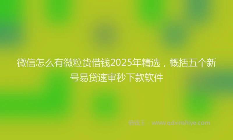 微信怎么有微粒货借钱2025年精选，概括五个新号易贷速审秒下款软件