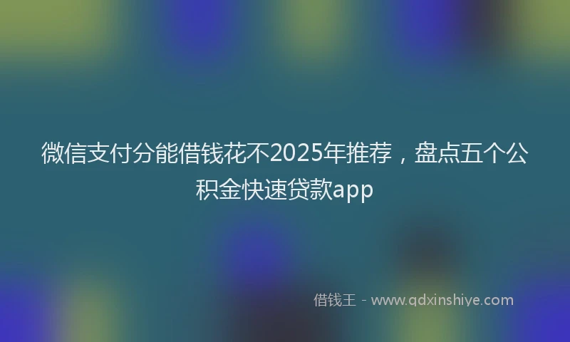 微信支付分能借钱花不2025年推荐，盘点五个公积金快速贷款app