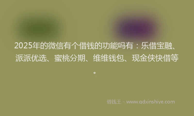 2025年的微信有个借钱的功能吗有：乐借宝融、派派优选、蜜桃分期、维维钱包、现金侠快借等。