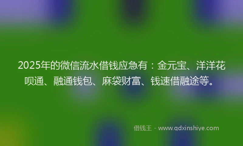 2025年的微信流水借钱应急有：金元宝、洋洋花呗通、融通钱包、麻袋财富、钱速借融途等。