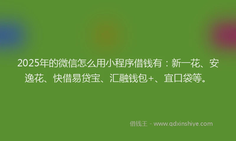 2025年的微信怎么用小程序借钱有：新一花、安逸花、快借易贷宝、汇融钱包+、宜口袋等。