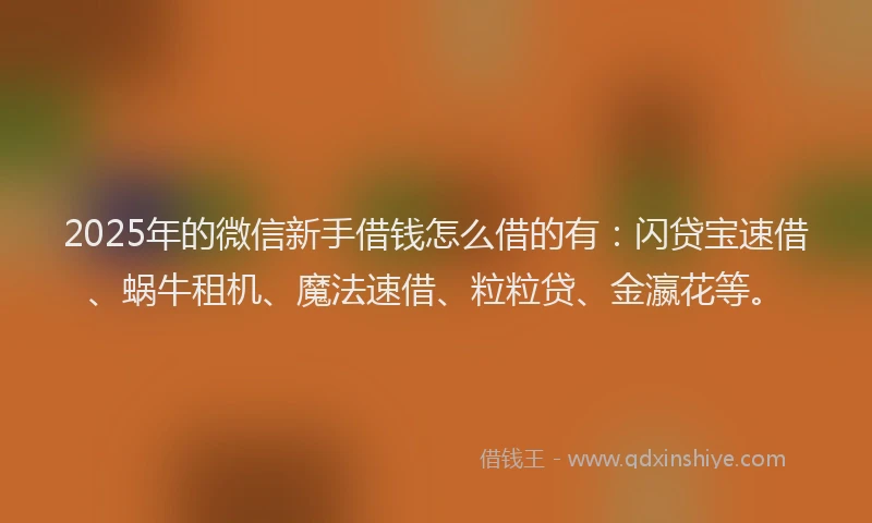 2025年的微信新手借钱怎么借的有：闪贷宝速借、蜗牛租机、魔法速借、粒粒贷、金瀛花等。