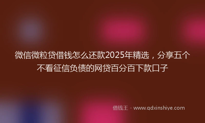 微信微粒贷借钱怎么还款2025年精选，分享五个不看征信负债的网贷百分百下款口子